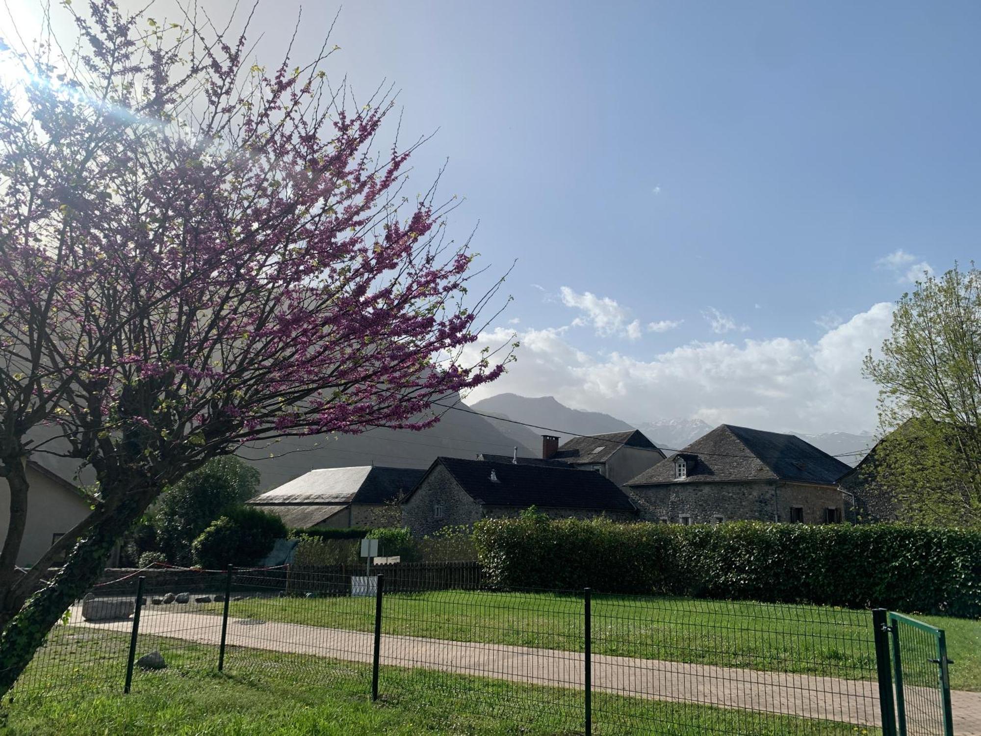 La Suite Unique - Le Jardin Sur Les Pyrenees- Vue Panoramique Montagne -Jardin Cloture Prive De 100M2-Parking-Linge De Lit Et Serviettes Compris- Bielle ภายนอก รูปภาพ