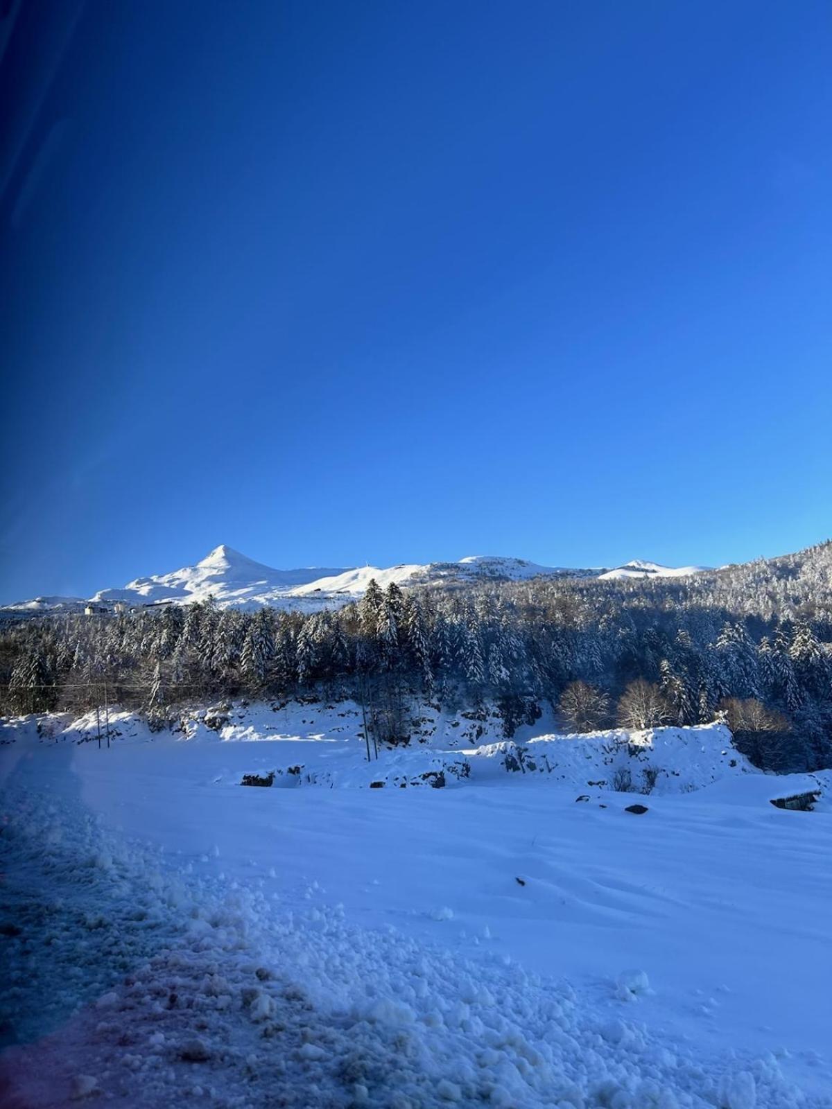 La Suite Unique - Le Jardin Sur Les Pyrenees- Vue Panoramique Montagne -Jardin Cloture Prive De 100M2-Parking-Linge De Lit Et Serviettes Compris- Bielle ภายนอก รูปภาพ